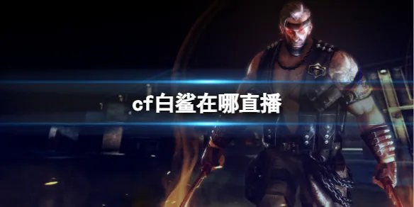 《cf》白鲨直播平台介绍