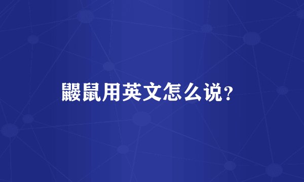 鼹鼠用英文怎么说？