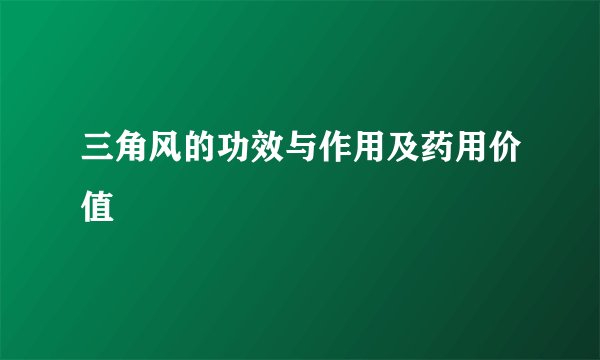 三角风的功效与作用及药用价值