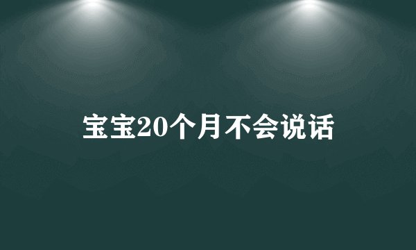 宝宝20个月不会说话