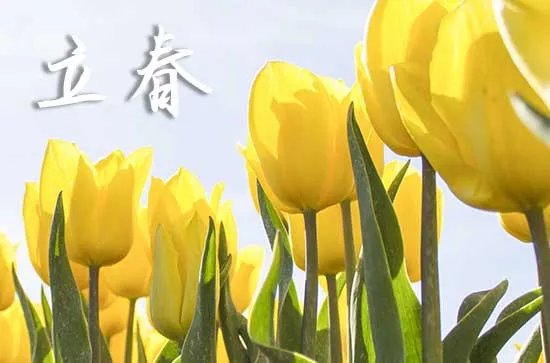 立春节气的诗词