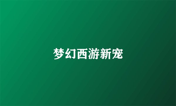 梦幻西游新宠