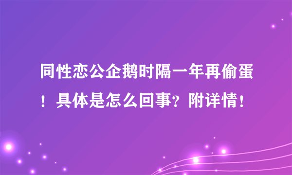同性恋公企鹅时隔一年再偷蛋!具体是怎么回事?附详情!