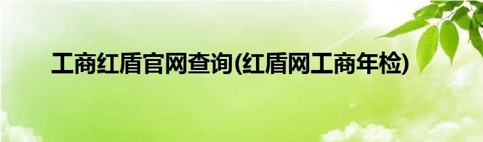工商红盾官网查询(红盾网工商年检)