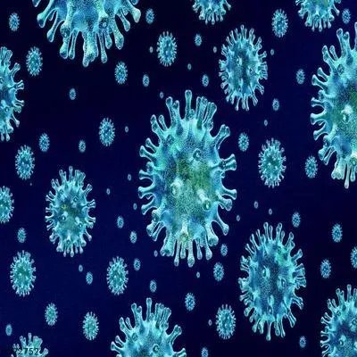 人感染H7N9禽流感应该如何预防