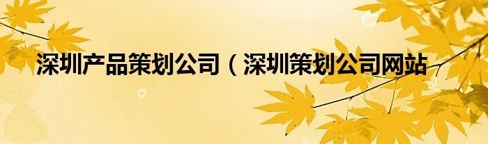 深圳产品策划公司（深圳策划公司网站
