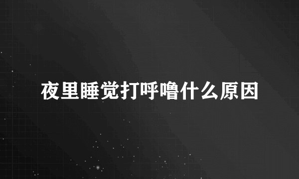 夜里睡觉打呼噜什么原因