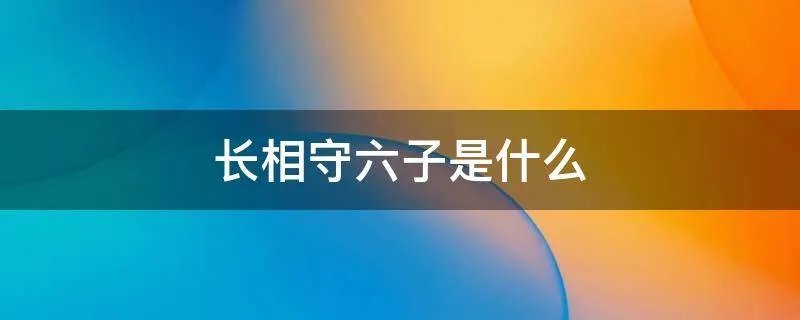 长相守六子是什么