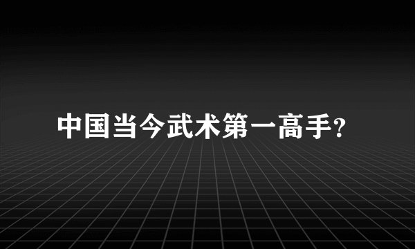 中国当今武术第一高手？