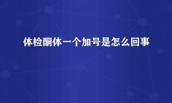 体检酮体一个加号是怎么回事