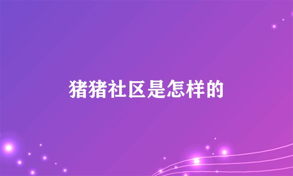 猪猪社区是怎样的