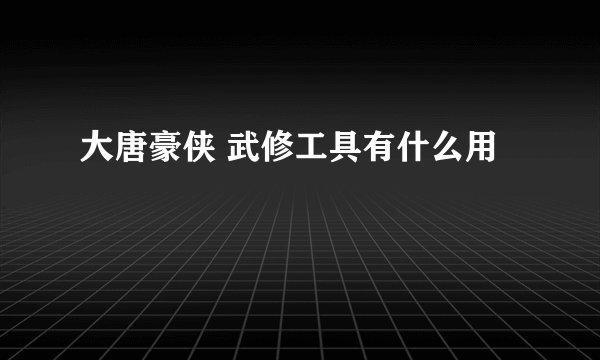 大唐豪侠 武修工具有什么用