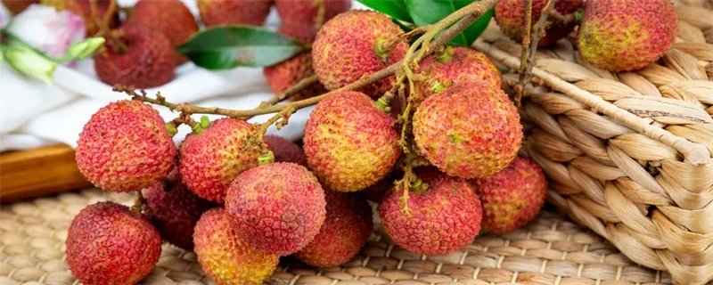专家建议成人每日吃荔枝不超十颗是什么情况 专家建议成人每日吃荔枝不超十颗