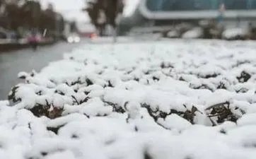 姜子牙属什么