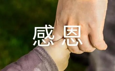 在感恩中成长作文