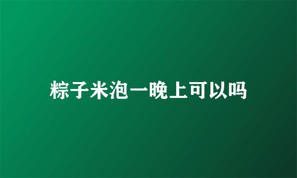 粽子米泡一晚上可以吗