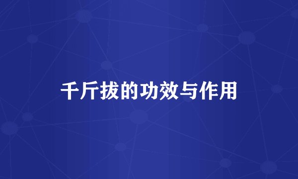 千斤拔的功效与作用