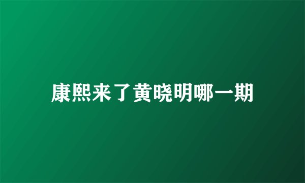 康熙来了黄晓明哪一期