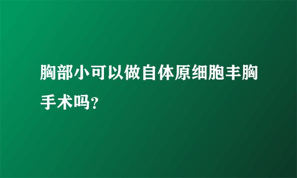 胸部小可以做自体原细胞丰胸手术吗？