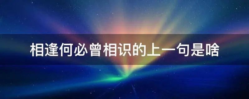 相逢何必曾相识的上一句是啥