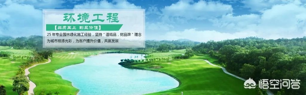 请问环境工程专业怎么样?