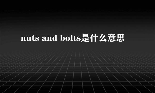 nuts and bolts是什么意思