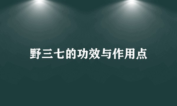 野三七的功效与作用点