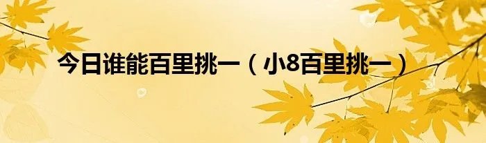 今日谁能百里挑一（小8百里挑一）