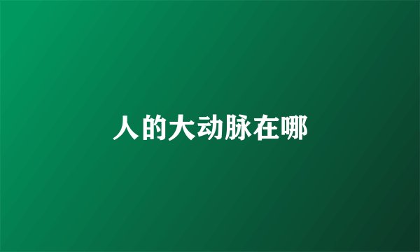 人的大动脉在哪