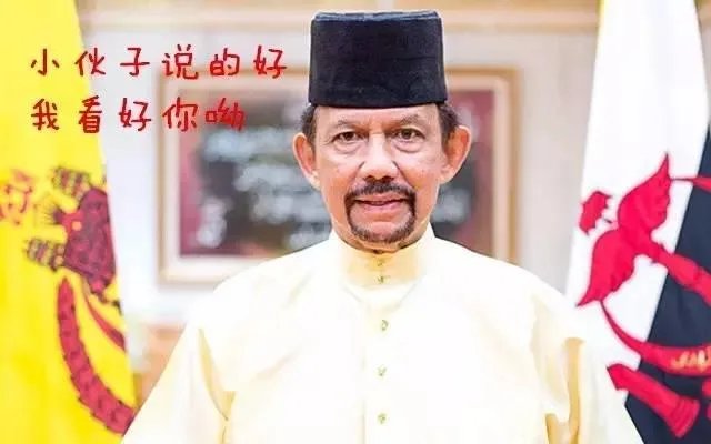 文莱是哪个国家?文莱国王苏丹生活有多奢靡?