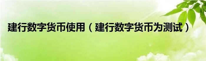 建行数字货币使用（建行数字货币为测试）