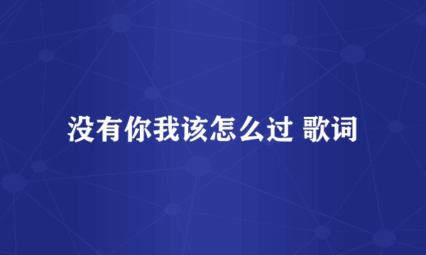 没有你我该怎么过 歌词