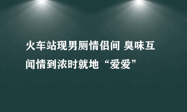火车站现男厕情侣间 臭味互闻情到浓时就地“爱爱”