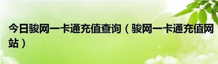 今日骏网一卡通充值查询（骏网一卡通充值网站）