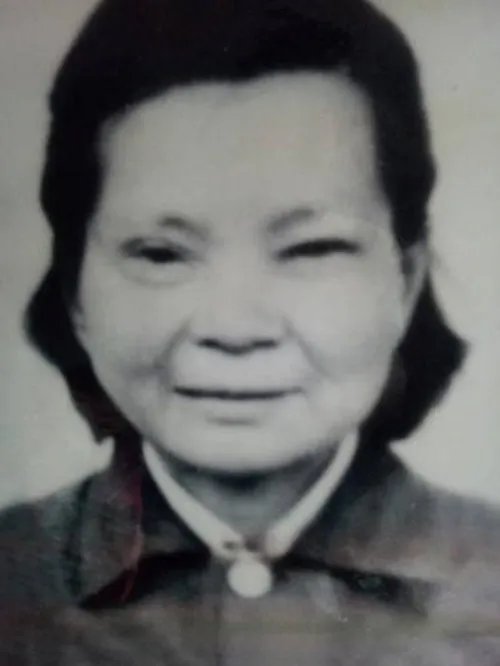 子女悬赏百万寻母被骗4次  其母亲走丢原因令人撕心裂肺