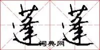 蓬蓬