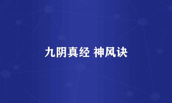 九阴真经 神风诀