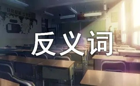 复杂的反义词