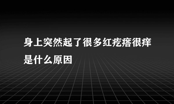 身上突然起了很多红疙瘩很痒是什么原因