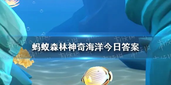豪猪鱼是什么东西 蚂蚁森林神奇海洋今日答案1.12最新