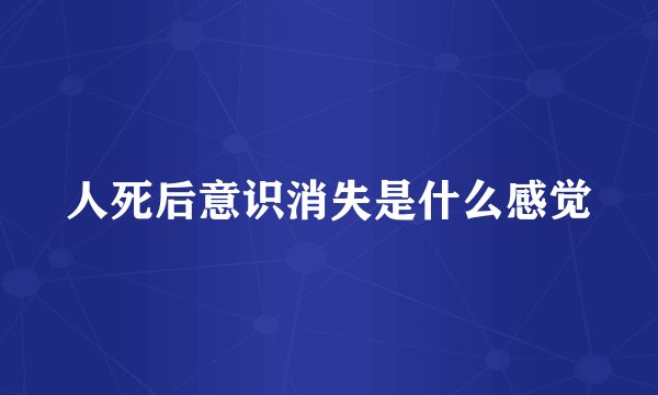 人死后意识消失是什么感觉