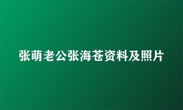 张萌老公张海苍资料及照片