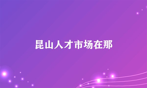 昆山人才市场在那