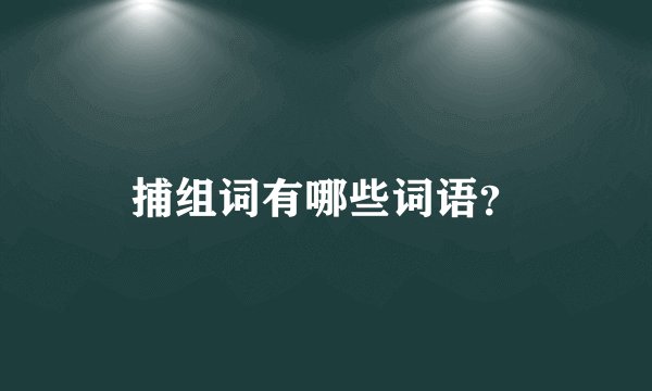 捕组词有哪些词语？