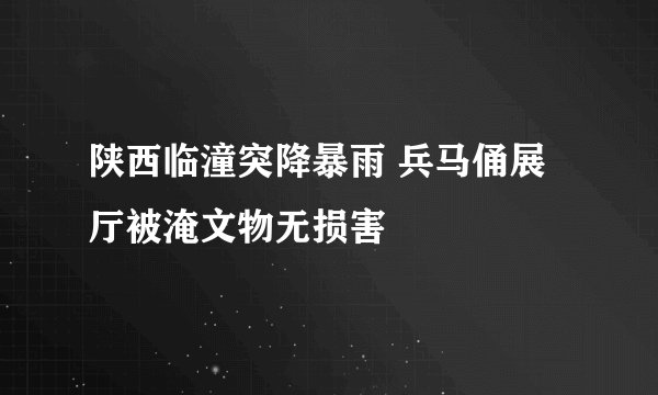 陕西临潼突降暴雨 兵马俑展厅被淹文物无损害