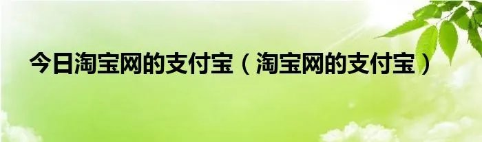 今日淘宝网的支付宝（淘宝网的支付宝）