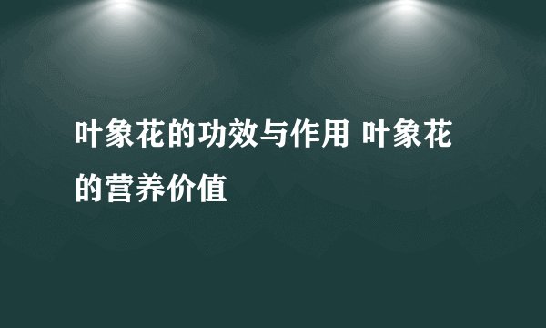 叶象花的功效与作用 叶象花的营养价值