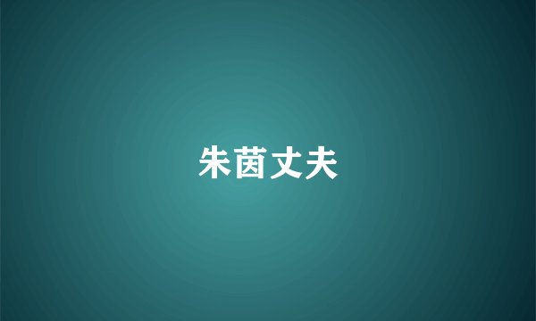 朱茵丈夫