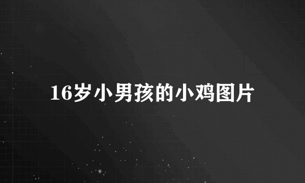 16岁小男孩的小鸡图片