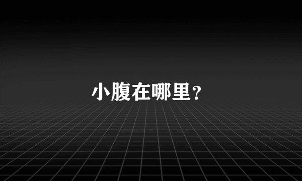 小腹在哪里？